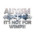 autism it's not for wimps metal puzzle t-shirt